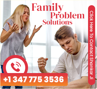 family-problem-solutions-ad-banner